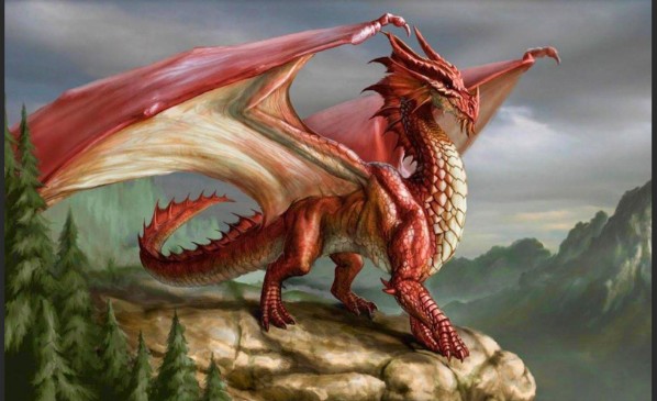 Adventure Travel tweet media