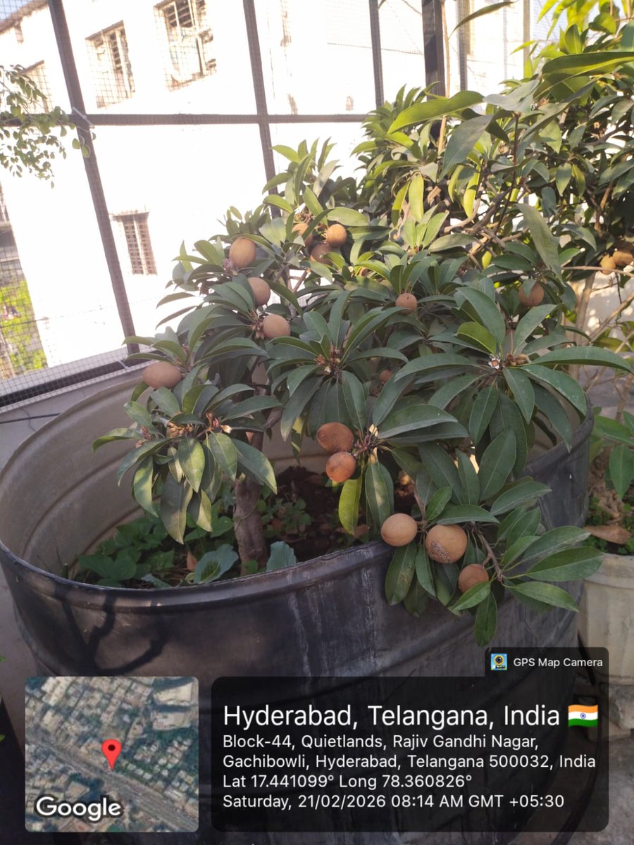 DEE_SWM _49 _Serilingampally tweet media