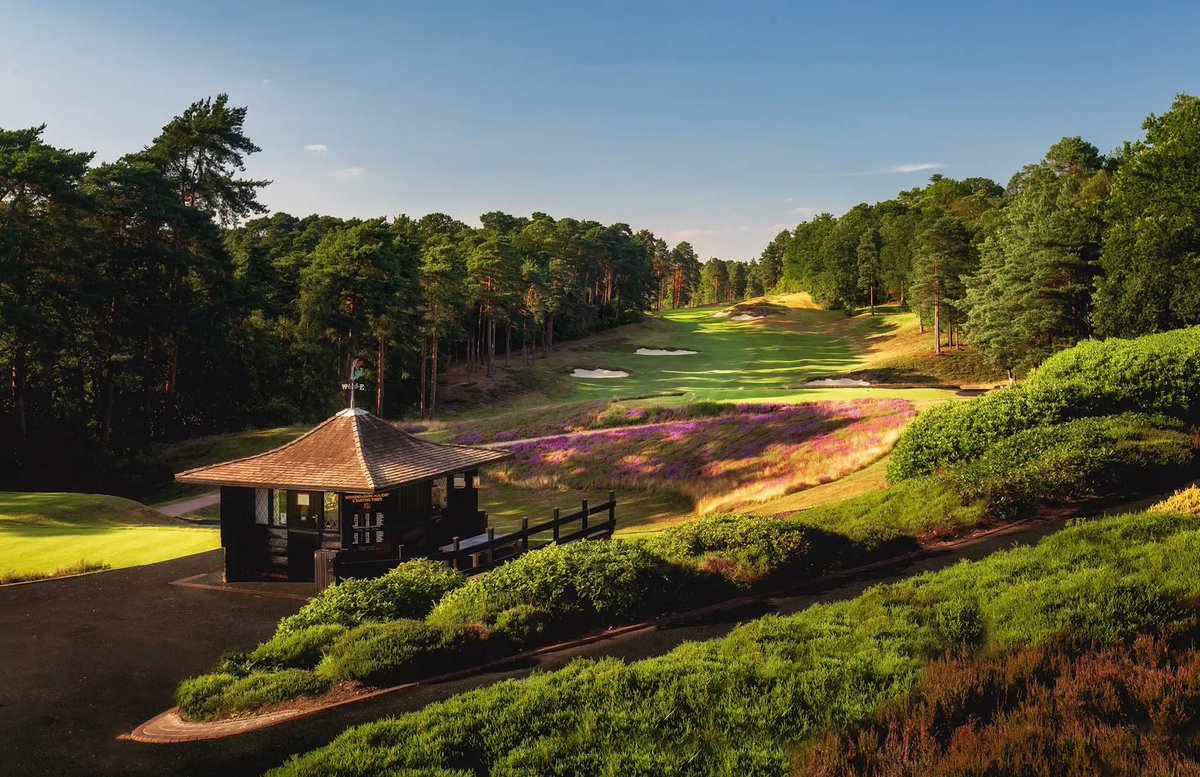 Fairway Journal tweet media