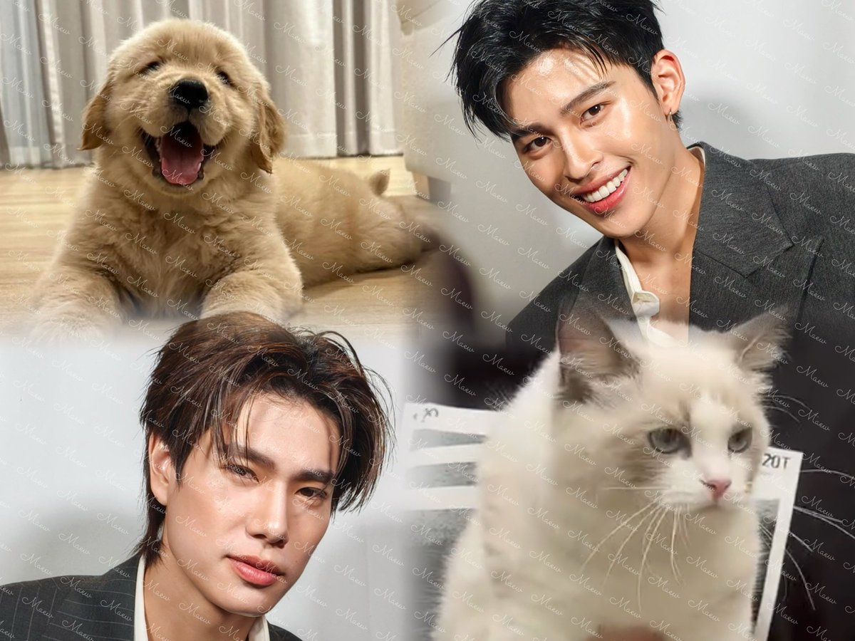 By the way, I showed PPw this photo of Parker and Hanabi 🐶🐱 They