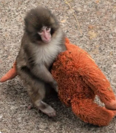 naiivememe's tweet photo. First day                                       3 Years 
in Crypto                                      in Crypto https://t.co/4QZLUo092C