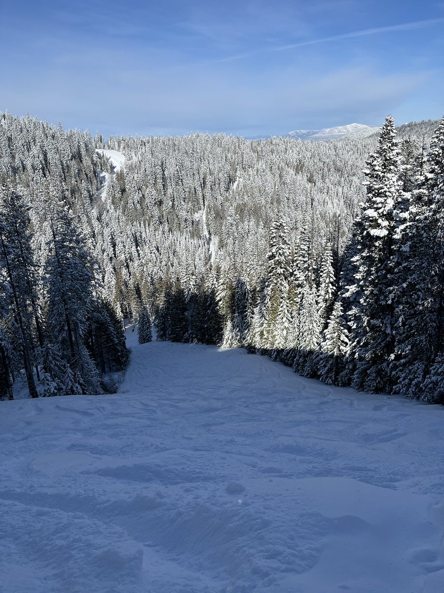 Don Pawluk tweet media