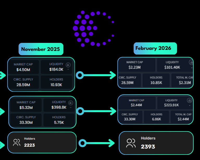 Some people asked for updated numbers on Cellframe Network, so here they are:
• November 2025: 18,903 holders across the networks
• February 2026: 19,303 holders
That is a net growth of +400 holders within the same ecosystem. This is happening during a broader market