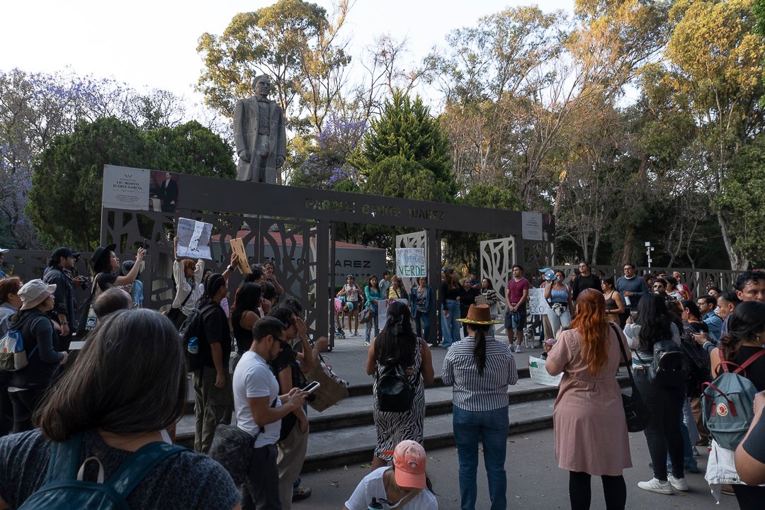 Manifestación contra la tala de árboles en el Parque Juárez para la instalación de una estación del Cablebus. #Puebla