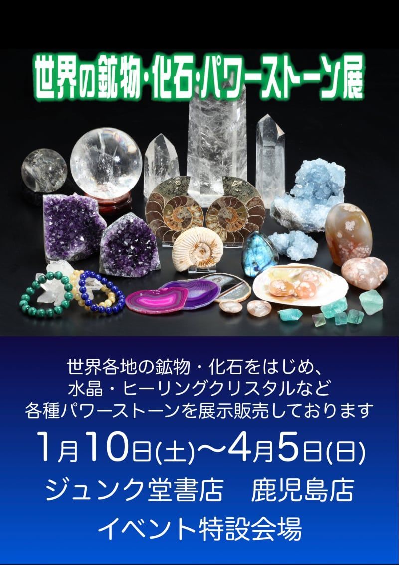 天然石　パワーストーン　化石　まとめ売り　ウッドボックス　貴石　ヒーリング　レア