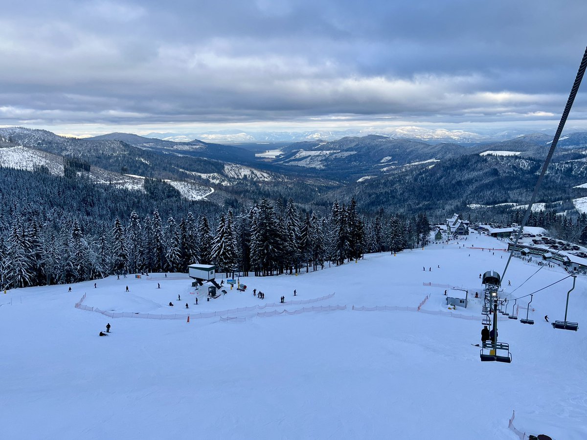 Don Pawluk tweet media