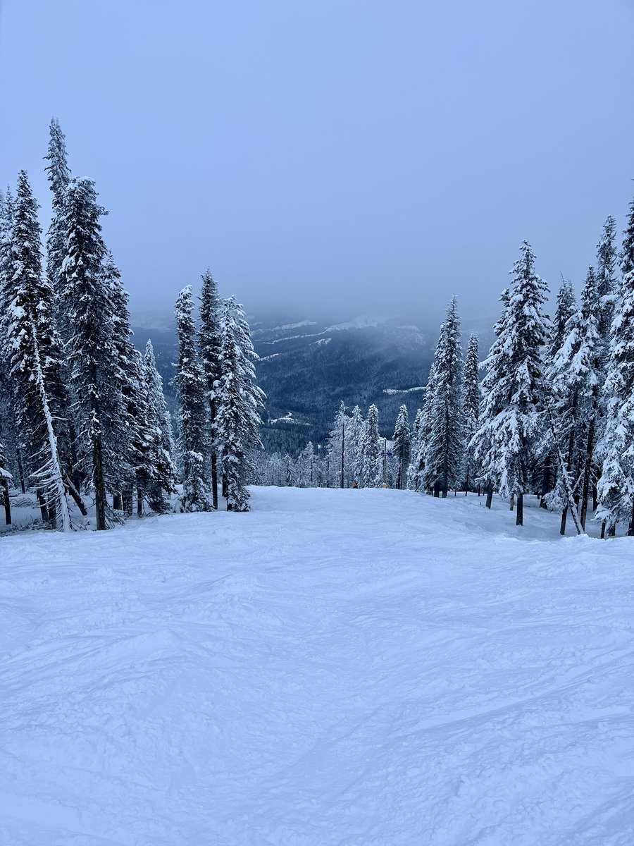 Don Pawluk tweet media