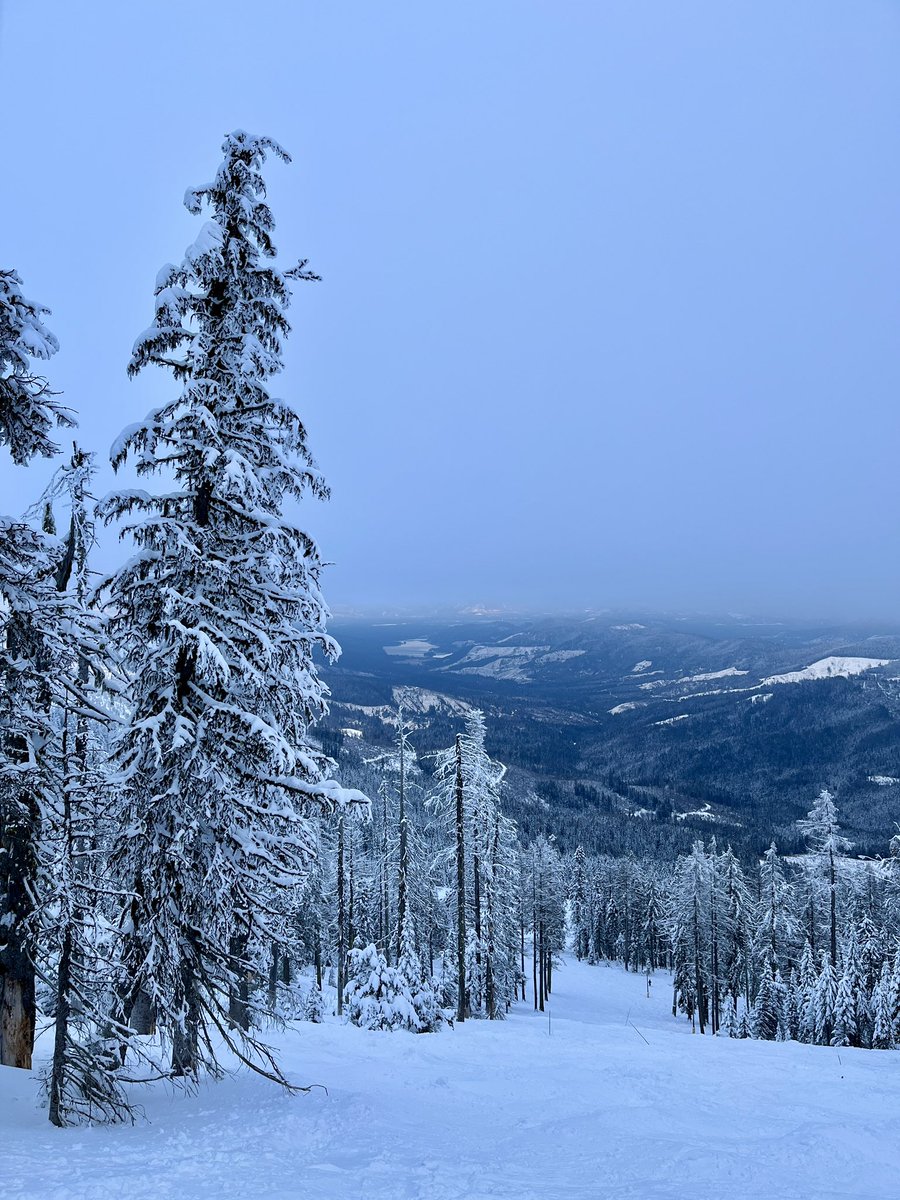 Don Pawluk tweet media