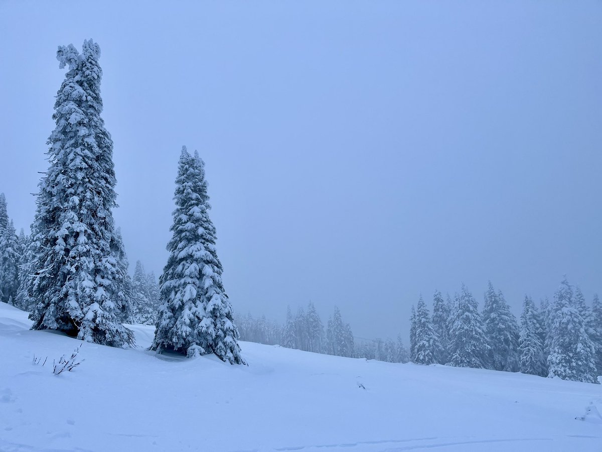 Don Pawluk tweet media