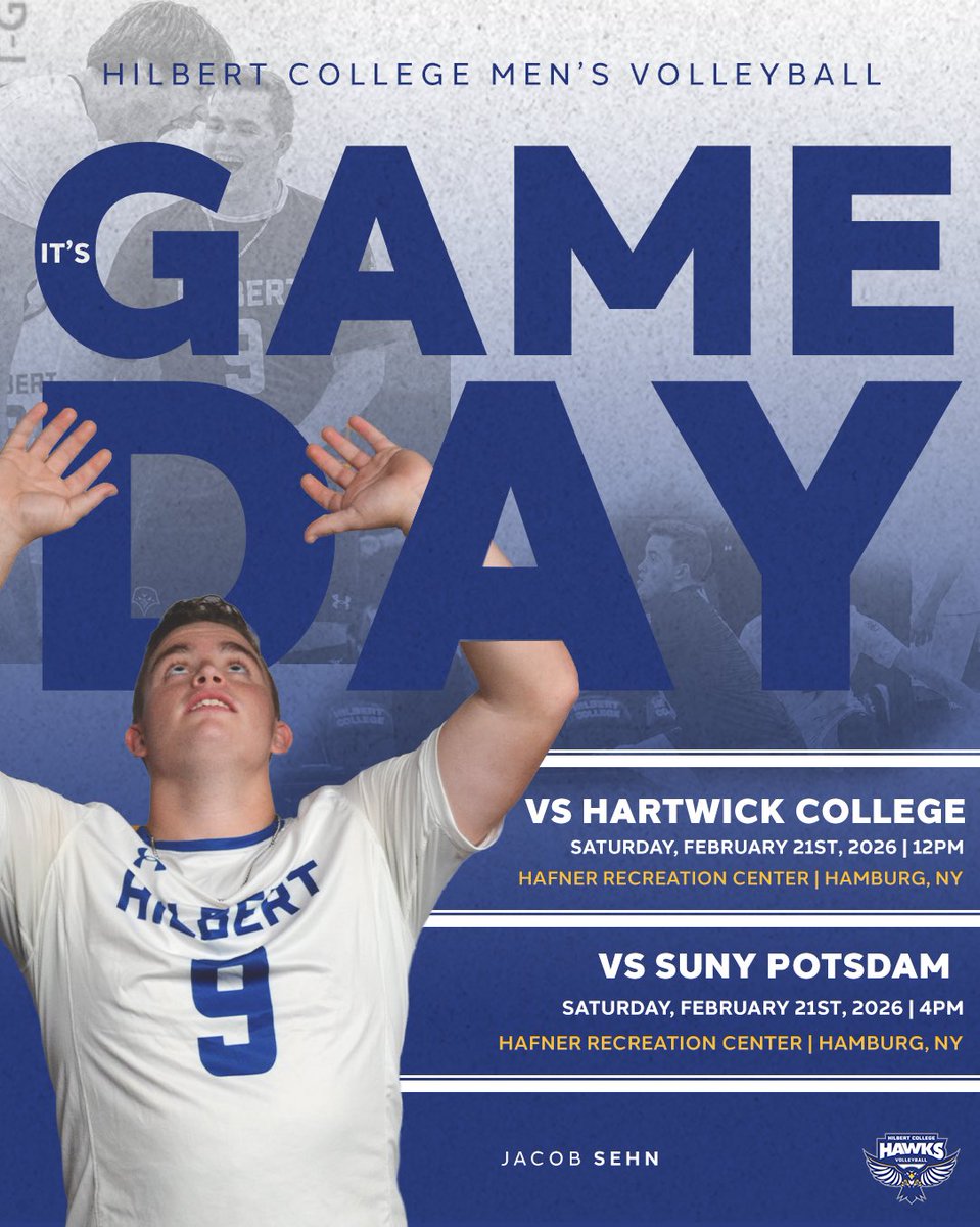 Hilbert Volleyball tweet media