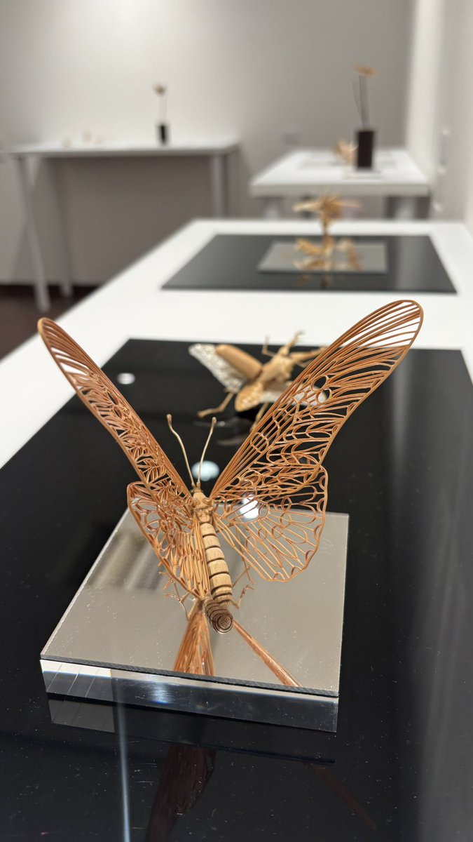 SASAI FINE ARTS (@sasaifinearts) / Posts / X