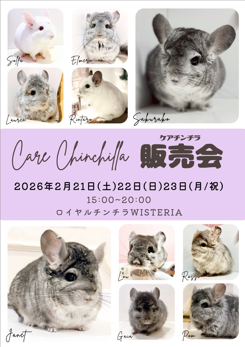 Chilla Stage (チラステージ) (@ChillaStage8113) / Posts / X