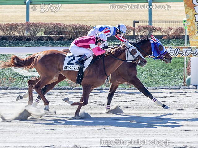 競馬ブックネットSHOP (@keibabookshop) / Posts and Replies / X