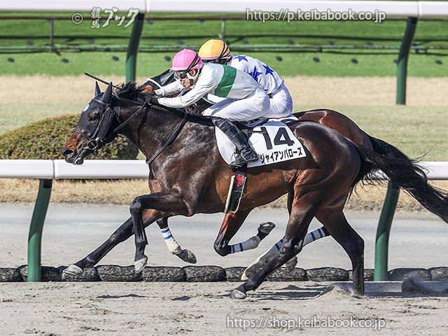 競馬ブックネットSHOP (@keibabookshop) / Posts and Replies / X