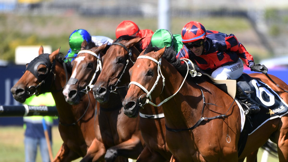 nzracingnews's tweet photo. NEWS: Final Return defied a strong challenge to land the Gr.3 Eagle Technology Avondale Cup (2400m) at Ellerslie, with the rugged stayer showing tremendous courage under Chris Dell to hold out Brayden Star by a short head for trainer Janelle Millar.

https://t.co/UJ4lfYskkm https://t.co/tDfm5K2T1C