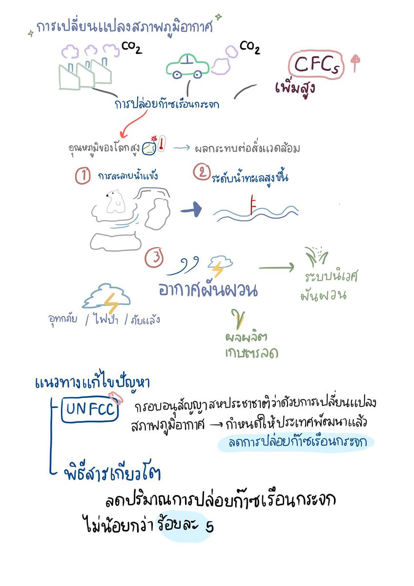 ชีทสรุปปลาวาฬ TCAS🐳 tweet media