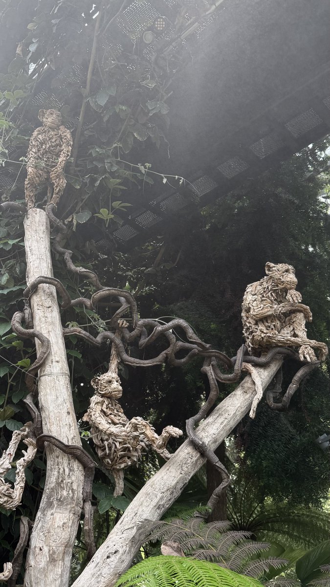 mitzyelliott's tweet image. #MonkeyBusiness 
#CloudForest #Singapore
