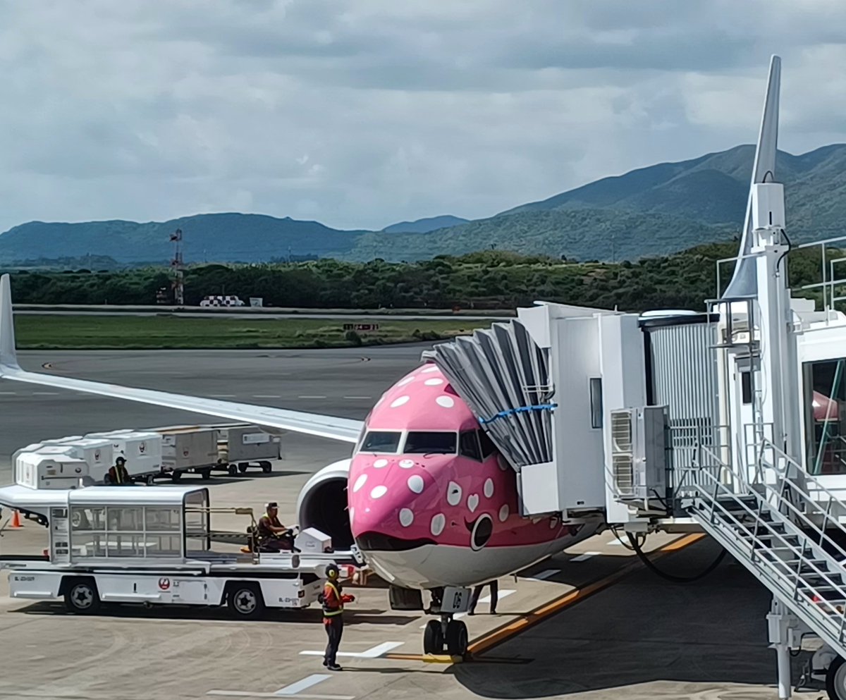 #JAL
#JTA
これから生涯搭乗回数998回目のフライトです。
偶然にも今回の旅だけでブルー、グリーン、ピンクのジンベイJETをコンプリートできました。