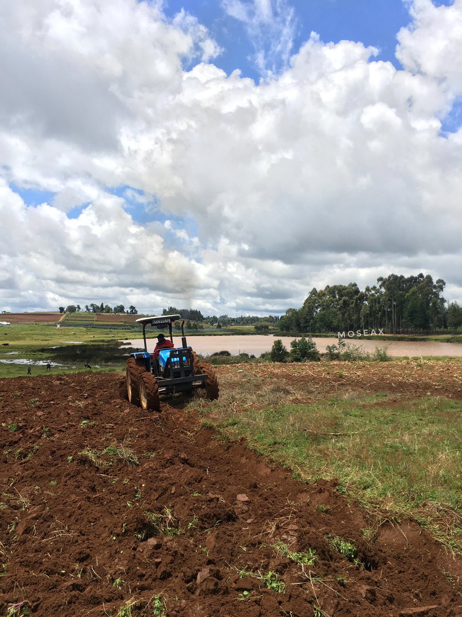 Moseax's tweet photo. The planting season is here but makosa imefanyika! https://t.co/R74iR4tvKu