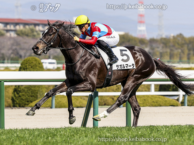 競馬ブックネットSHOP (@keibabookshop) / Posts and Replies / X