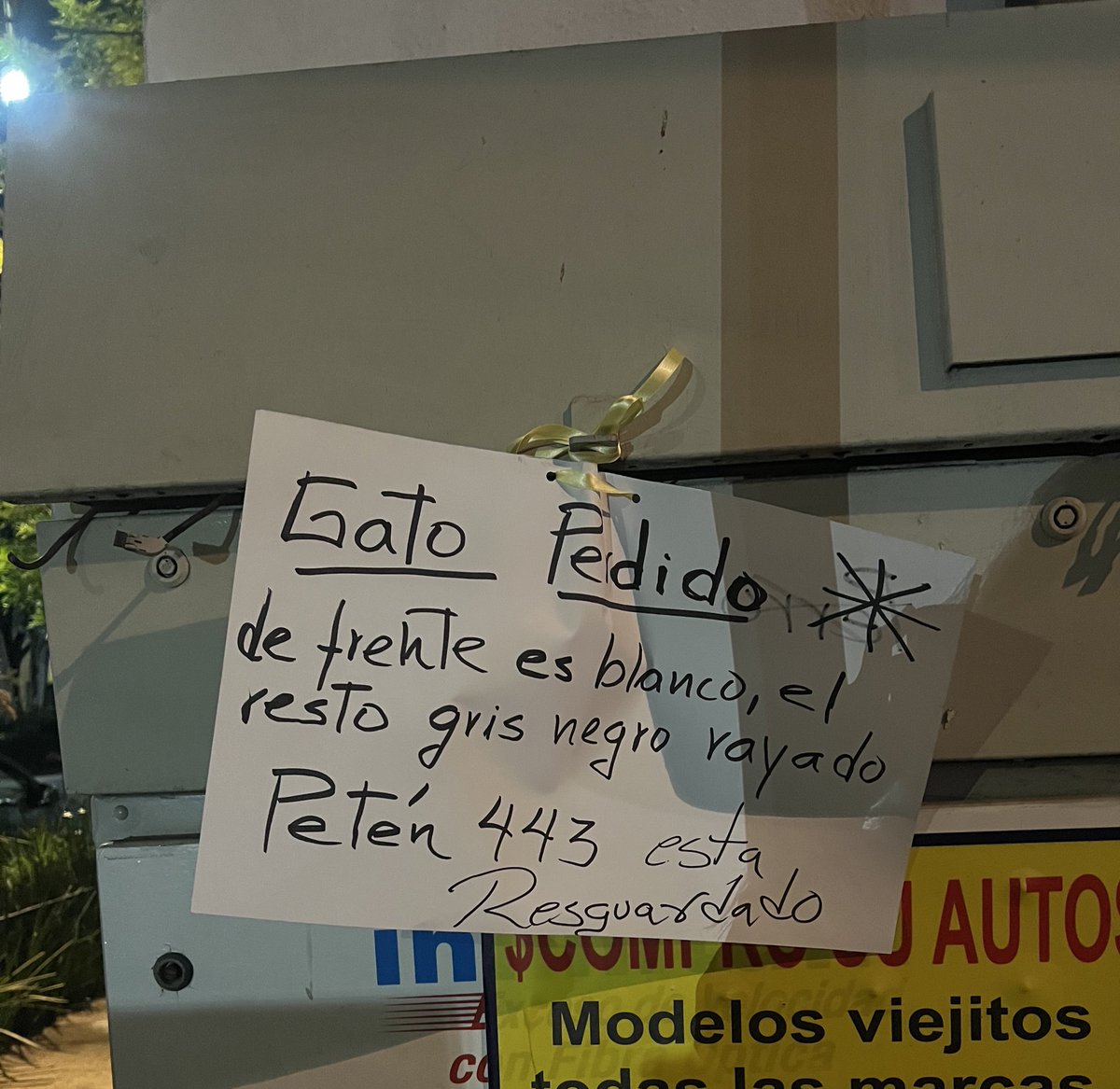 ¿Alguien perdió una gatito de estas características en la Narvarte?