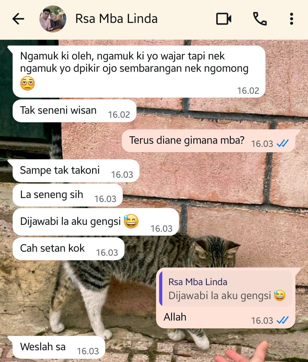 inicikgu's tweet photo. aku suka mba ini😌🙏🏻 https://t.co/myyetxOkkw