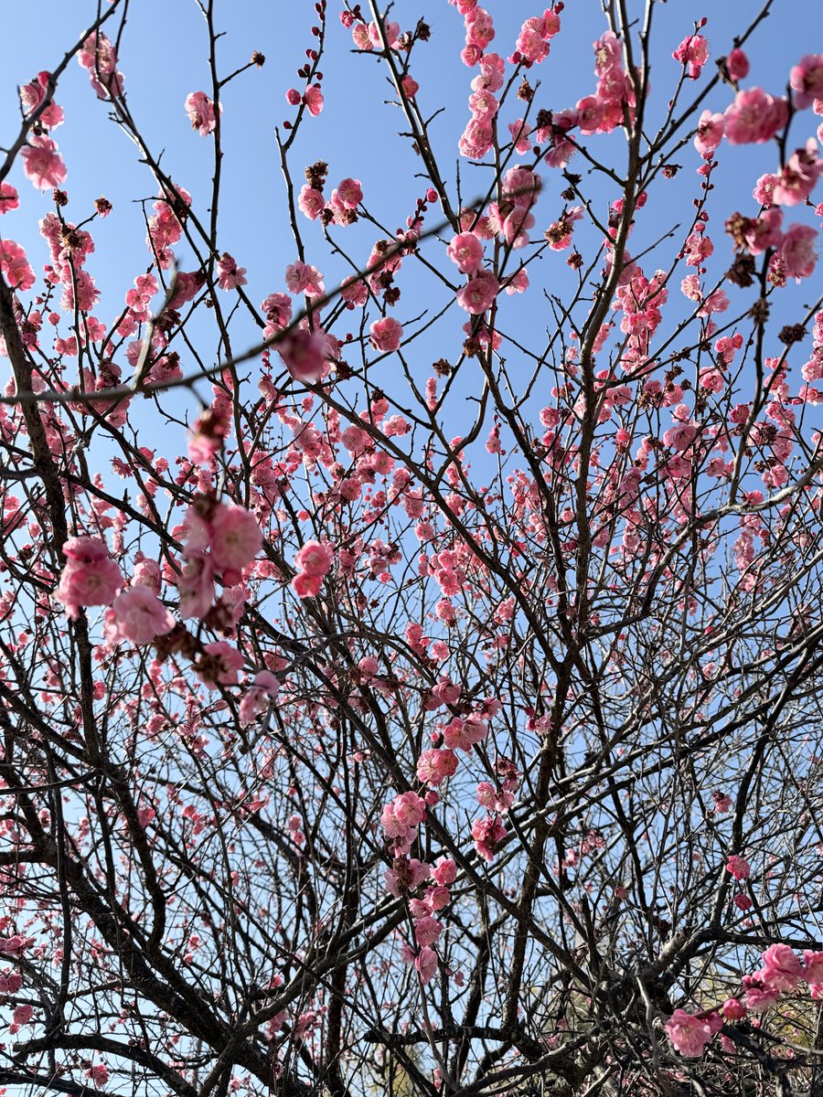 八。ゆっくり現像😶😐😑🫨 tweet media