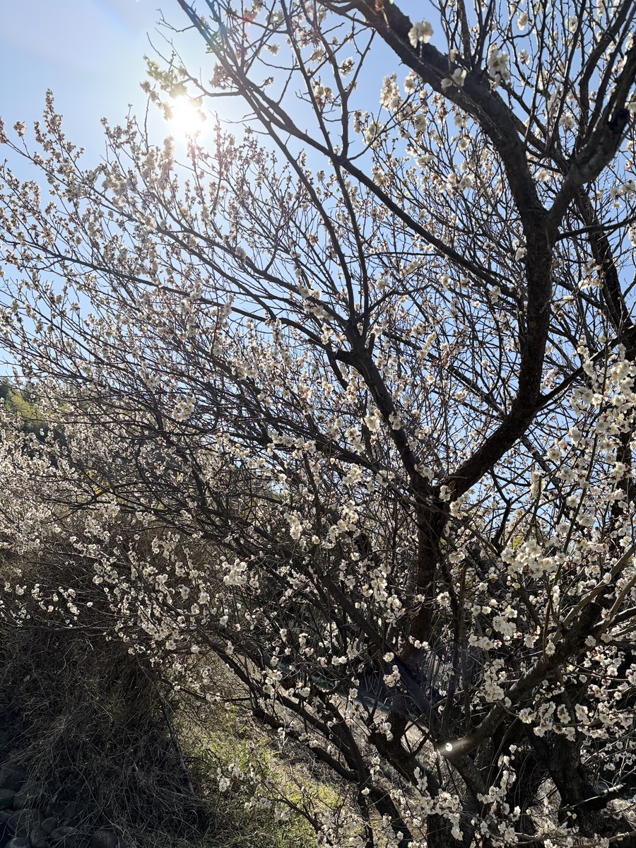 八。ゆっくり現像😶😐😑🫨 tweet media