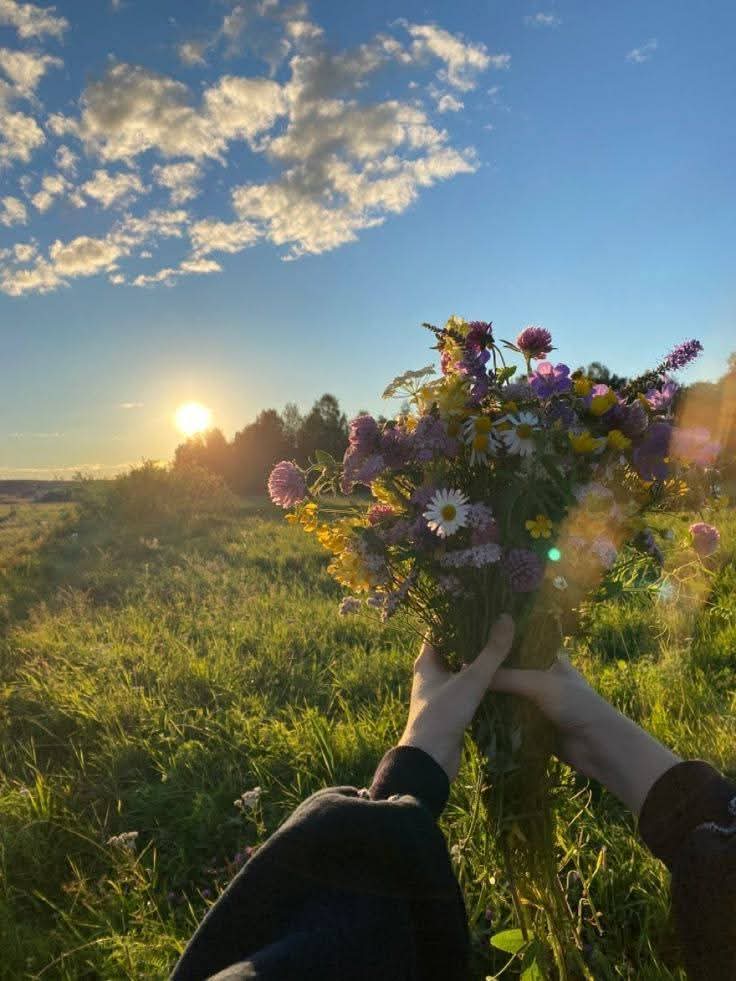 Bluesap26's tweet image. Good morning X Fam 🌅 
Stay safe and keep shining ✨