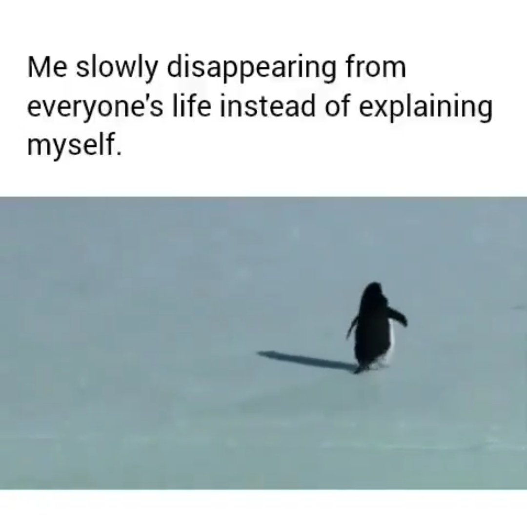 disappear30's tweet image. 