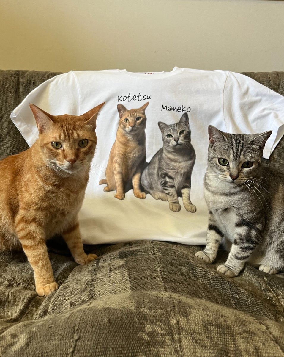 ユニクロ (@UNIQLO_JP) / Highlights / X