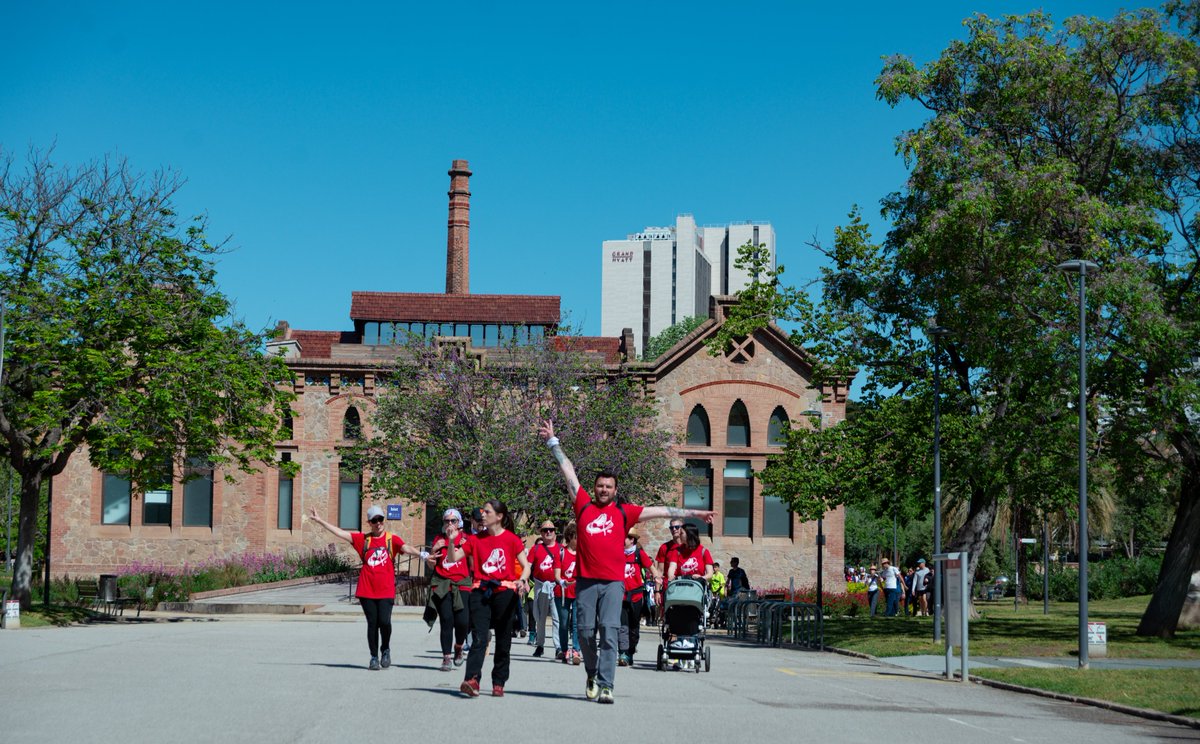 Magic Line SJD tweet media