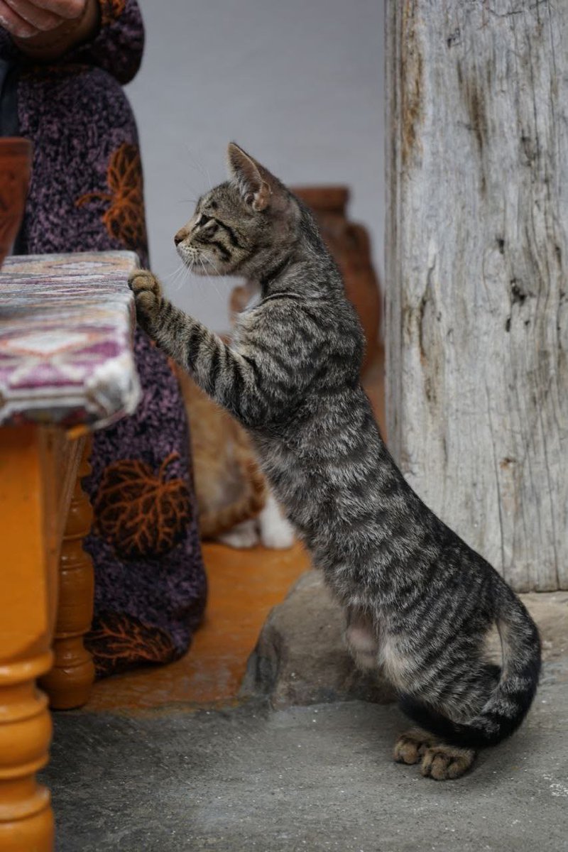 Доброе деревенское 🥰
