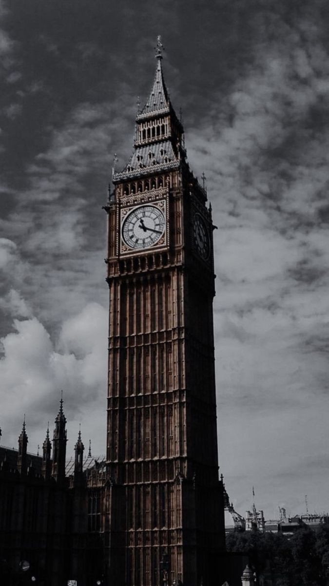 King Alpha 💀 tweet media