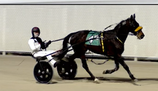 Indiana Harness tweet media