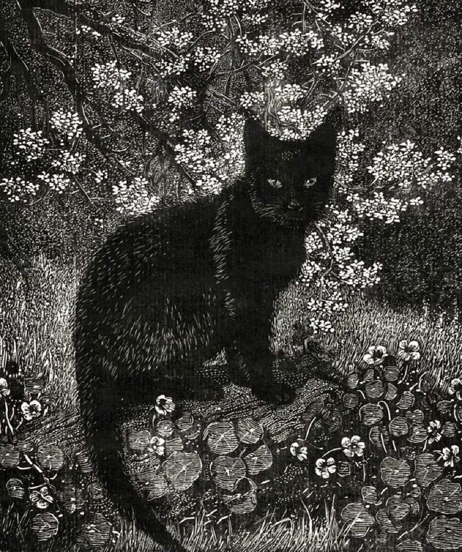I believe cats to be spirits come to earth. A cat, I am sure, could walk on a cloud without coming through.

~Jules Verne
🎨 Lionel Lindsay (1924)
#caturday