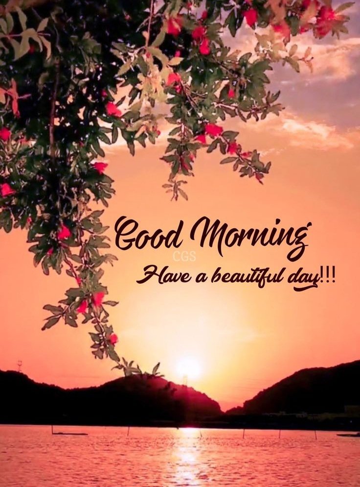 GlobalAddaIN's tweet image. Morning Energy 🌄🌞
°
Wake up driven.
Win the day.
°
Connect 🤝💫❤️‍🩹