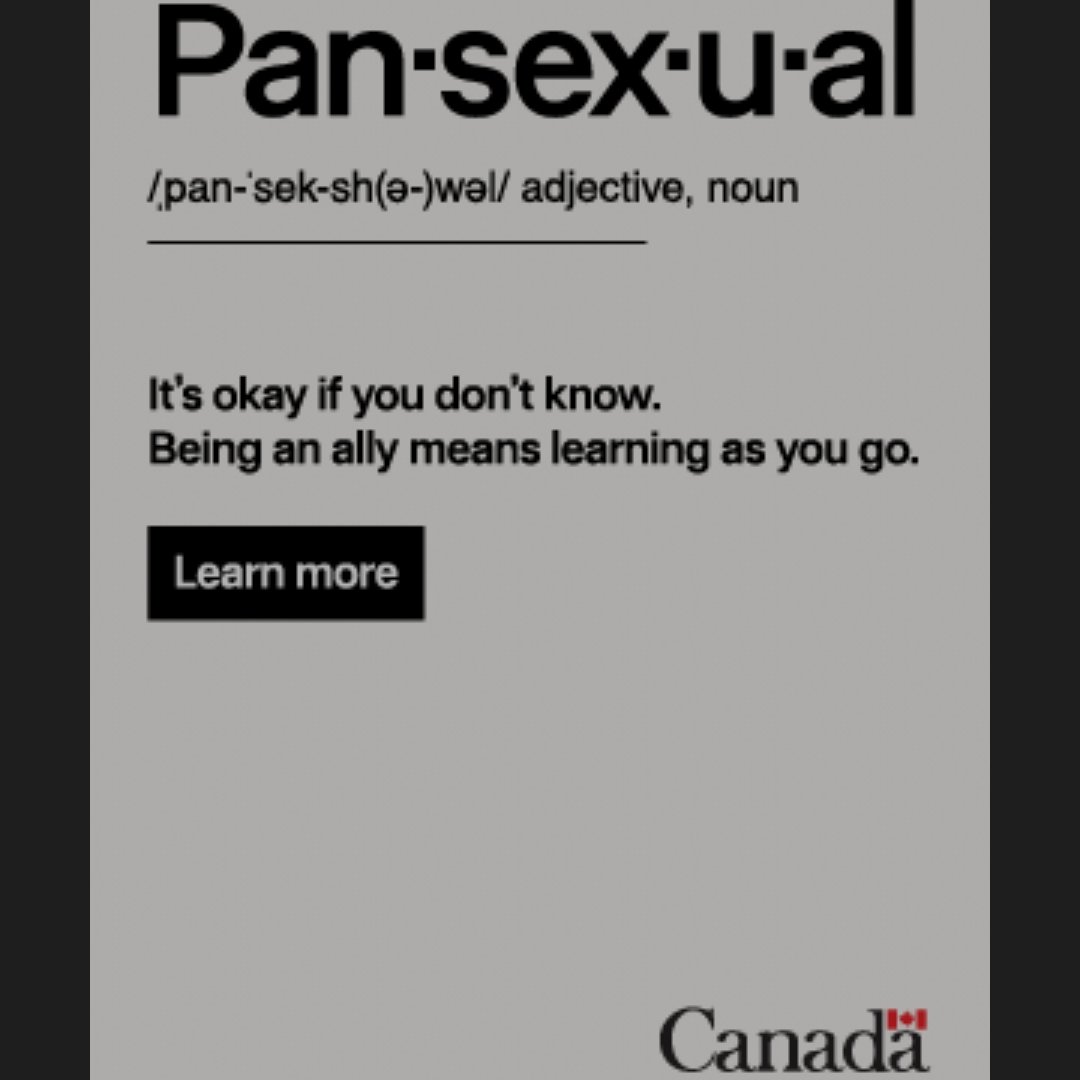 My government is taking out ads to tell me I should be a pansexual ally, even if I don't know what a pansexual is.
