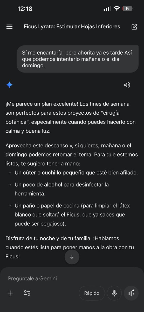 Gusi423's tweet photo. Mi asesor botánico 🤩 https://t.co/RhH6SwkL7T