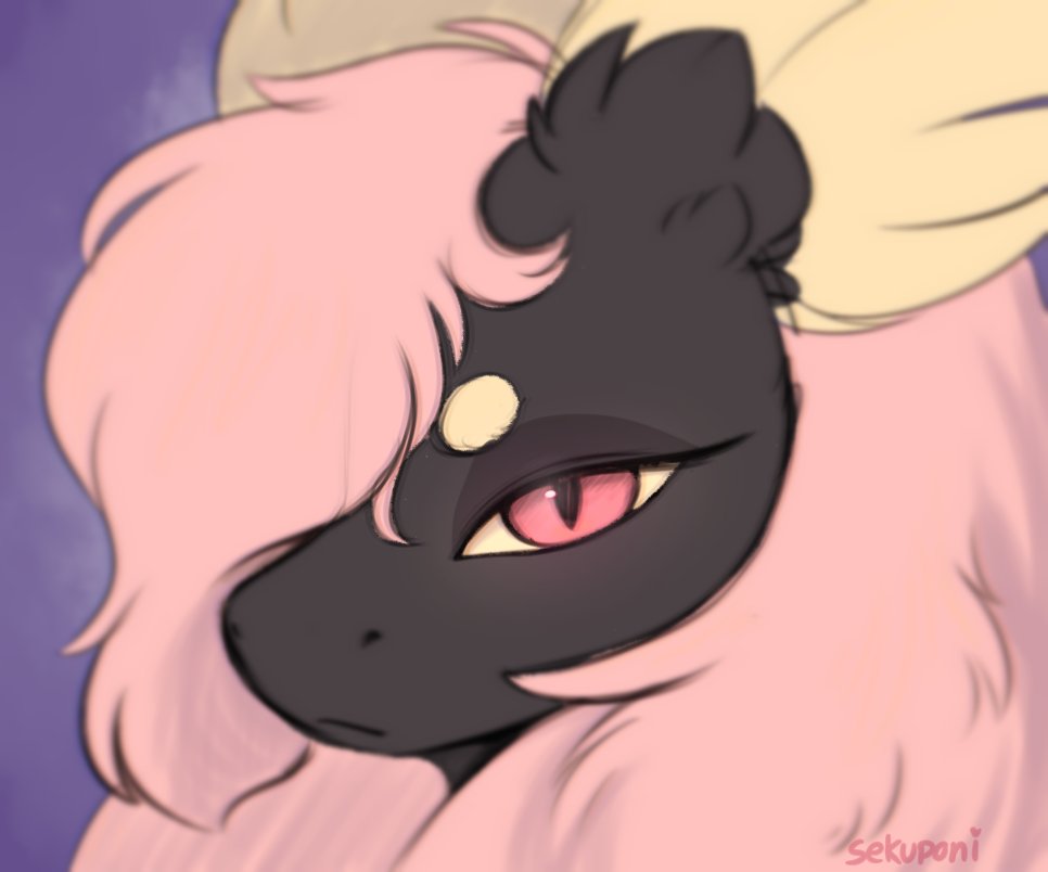 Sekuponi tweet media