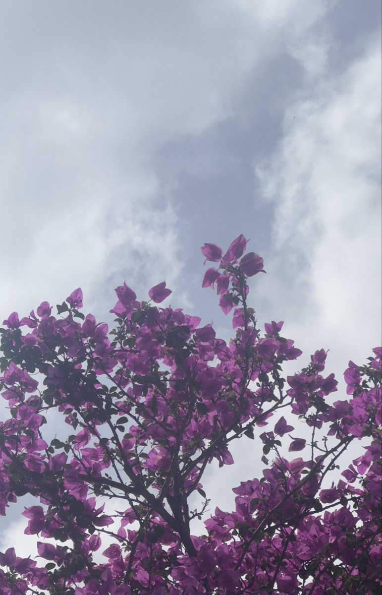 At the end of the day it’s going to be,

•BTC
•ETH
•SOL
•Hype
•USDT / USDC
•BNB

What am I missing?