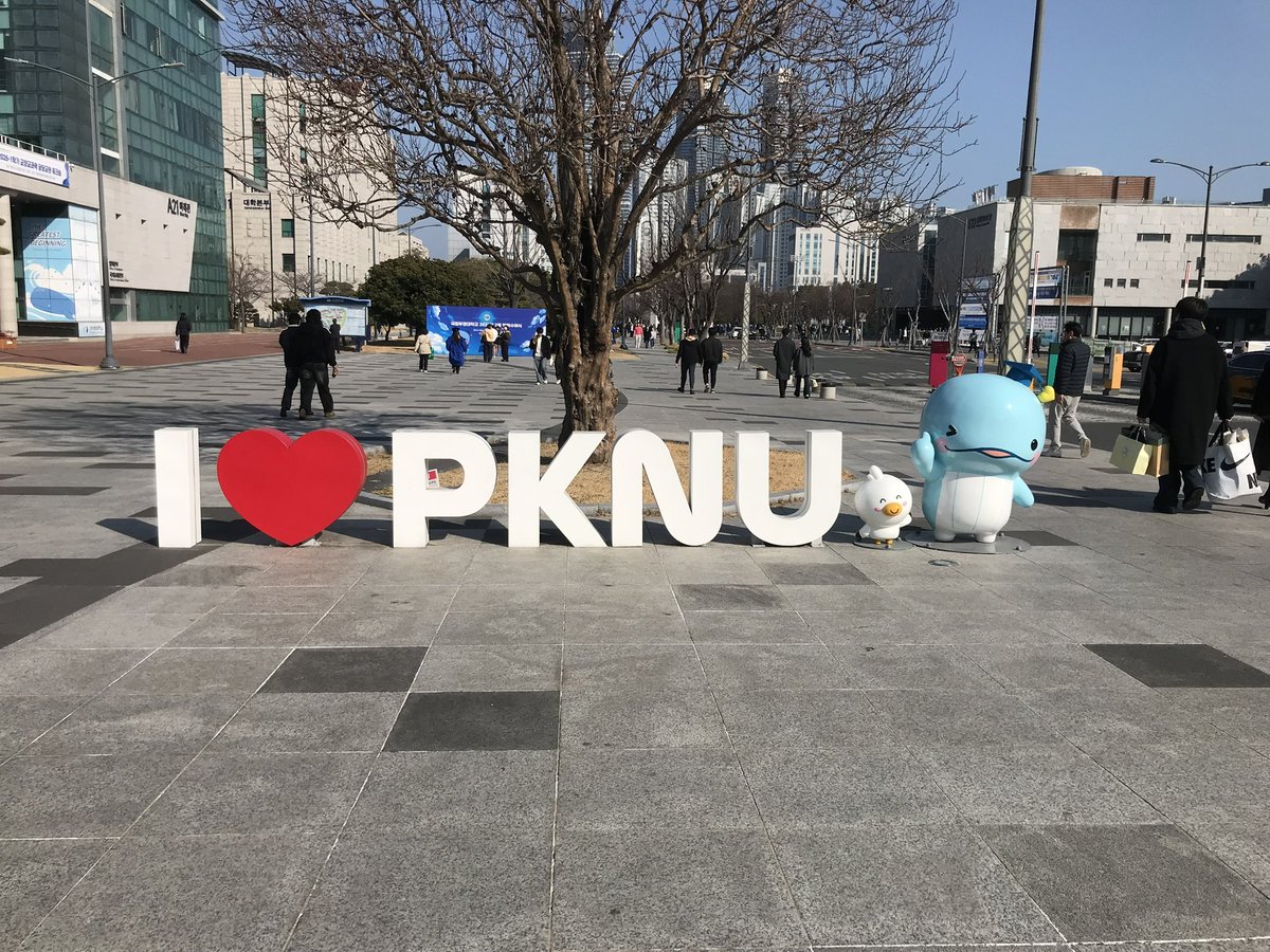 ぽん|元韓国正規留学生 tweet media