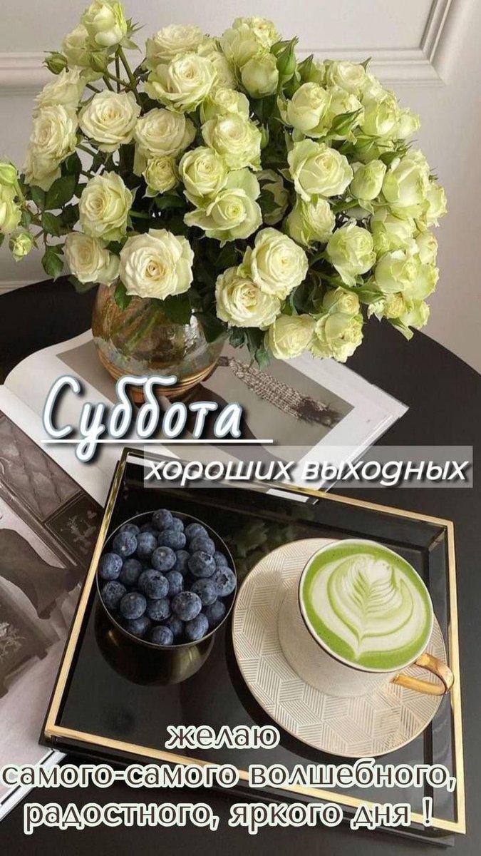 Марина (@747drema) on Twitter photo 