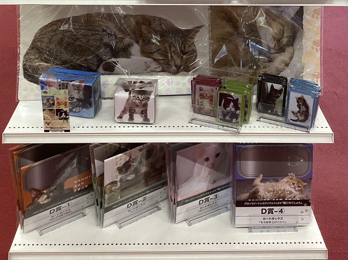 🍀︎くじ情報🍀︎ #トレカアイテムくじ 『🐱 #猫これくしょん🐱』 A賞