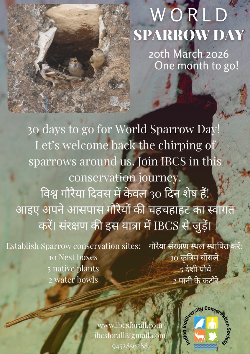 IBCSforall's tweet photo. World Sparrow Day, one month to go. Create Sparrow conservation sites. 
#indianbiodiversityconservationsociety
#StatebirdofBiharDelhi
#WorldSparrowDay https://t.co/uMQub5AWEH