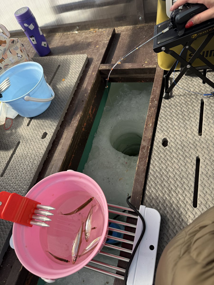 毎年恒例、桧原湖氷上ワカサギ釣り 4人で17匹！！今年は数年ぶりの鬼辛