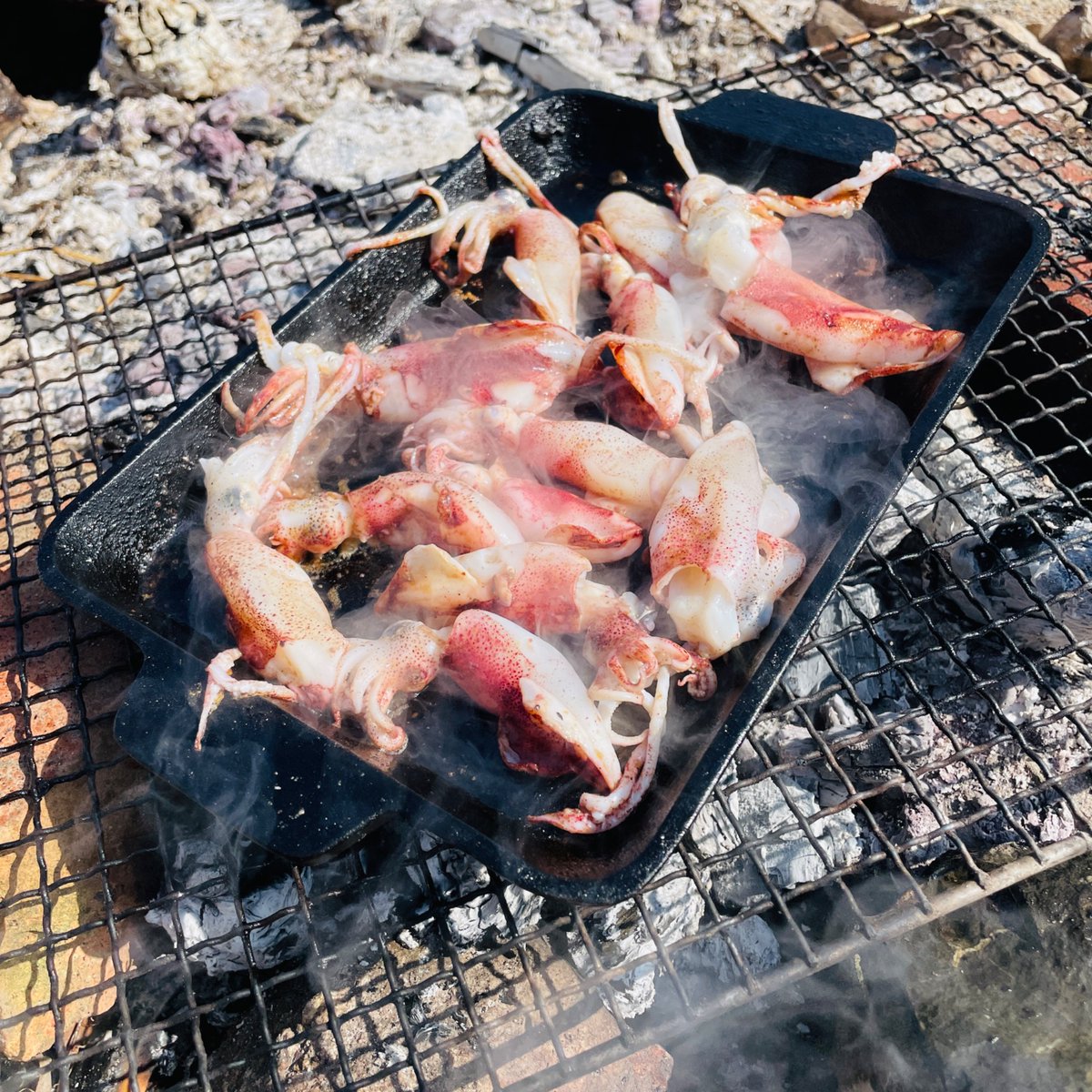 uncleweed's tweet photo. @miyazakimickey and yes, mostly #Vancouver but really I've lived so many places it's hard to keep track yet I'm a #Cascadian in my Sasquatch bones so the bright, dry and chilly in the morning and warm in the afternoon winters here in Okayama still confuse me

today's evidence: https://t.co/VYiwbTs853