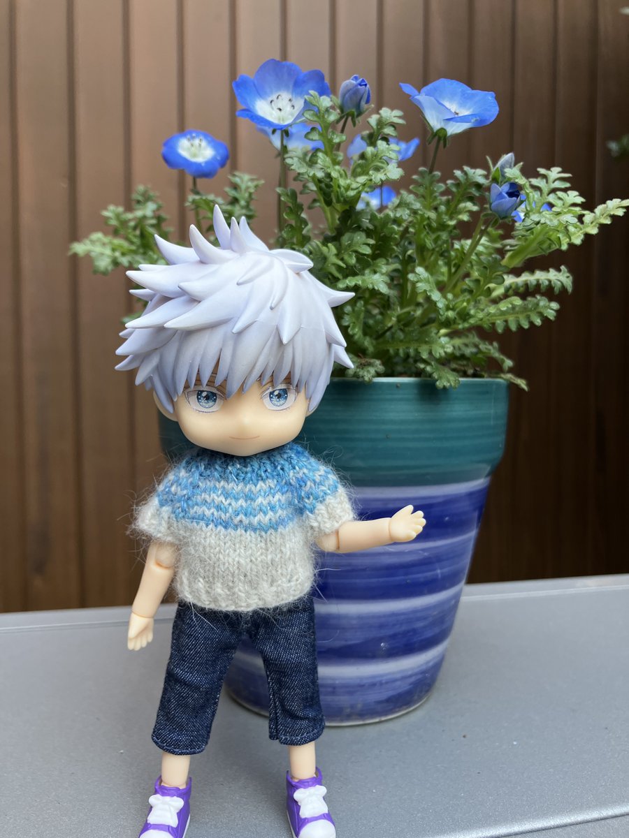 今週暖かかったから、ネモフィラ一気に咲きました
ねんどろ五さんの着ているニットはイベントにてヒツジトウコン様より購入。（<a href="/tohko_hitsuji/">とこ🧶ヒツジトウコン 4/19大阪</a> ）青色ボーダーが五さんに似合ってます☺️