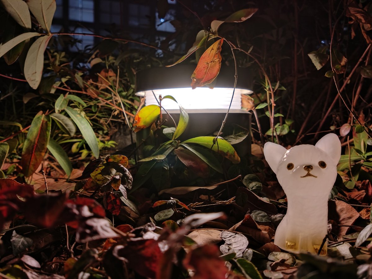 ふゆのいぬさんも販売中です✨️