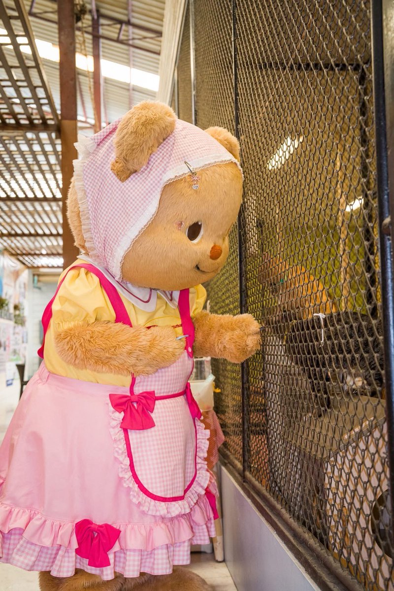 ©️ FB : Moochie อาหารเปียกสุนัขและแมว
(3/3)

จากความรักของมัมๆ แด๊ดๆ 💛🐻✨
Moochie x Butterbear 

ร่วมส่งมอบ Special Box set ให้กับน้องหมา น้องแมว 
ณ มูลนิธิบ้านสงเคราะห์สัตว์พิการ 🐶🐱
ส่งต่อความห่วงใย ให้ทุกมื้อเป็นเวลาแห่งความสุขของน้องๆ 🫶
และบอกเลย…เรื่องดีๆ ยังไม่จบแค่นี้